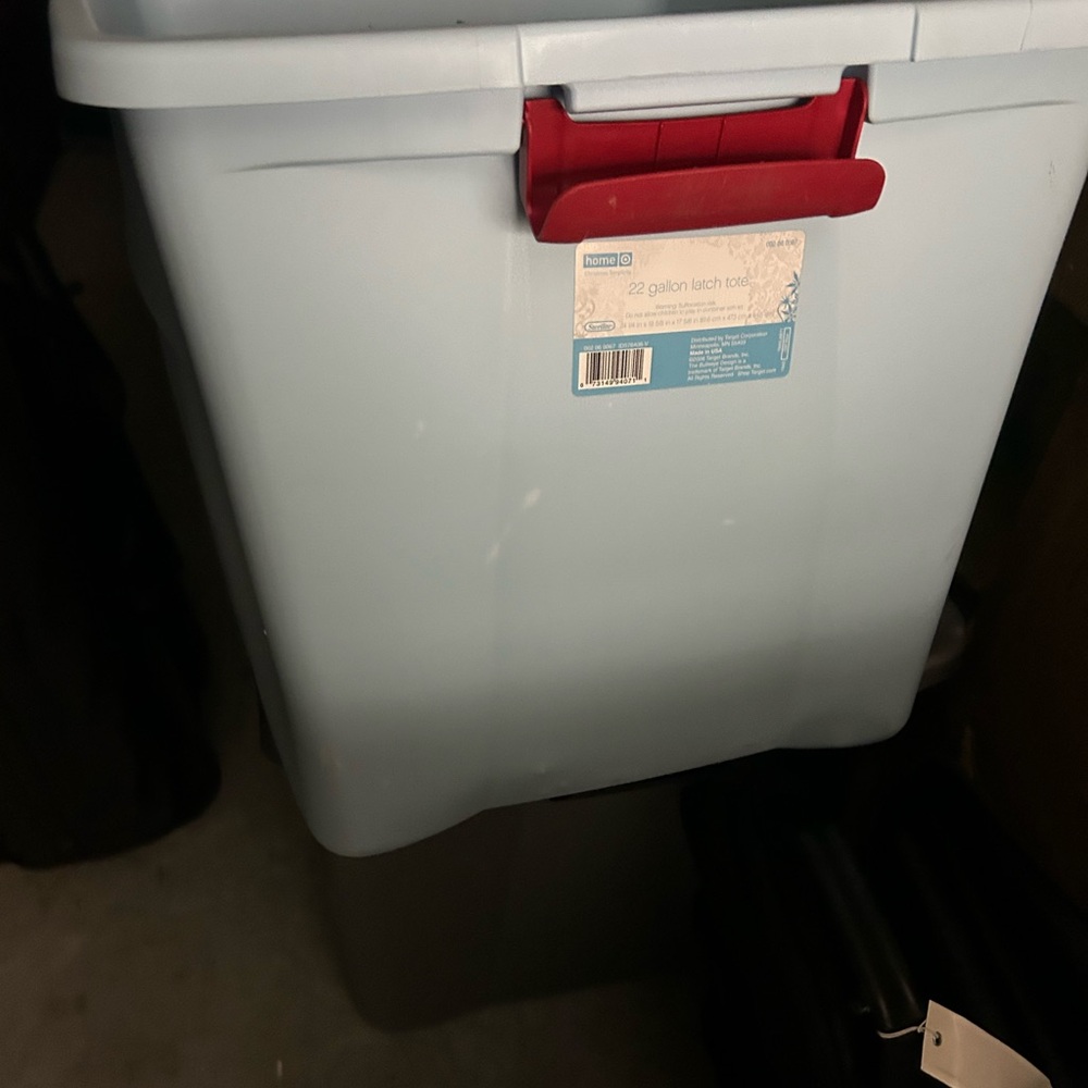 Seashells - Picture 3 of 3